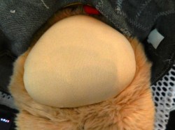 country bear apron view